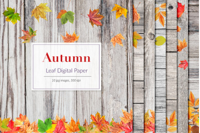 Autumn Digital Paper