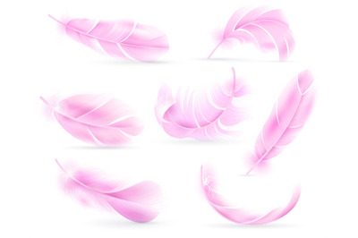 Pink feathers. Bird or angel feather, birds plumage. Flying fluff, fal