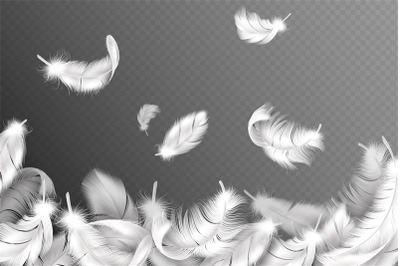 White feathers background. Falling flying fluffy swan, dove or angel w