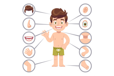 Kid body parts. Human child boy with eye, nose and chest, head. Knee,