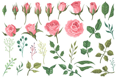 Rose elements. Pink flower buds, roses with green leaves bouquets, flo