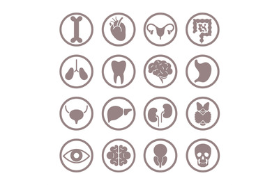 Human organ icons. Lungs and kidneys, heart and brain. Stomach and liv