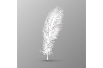 Realistic feather. Single white soft bird wings smooth fluff on transp