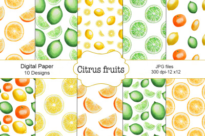 Citrus Fruit Watercolor