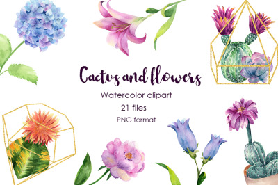 Watercolor Cactus and Flowers Clipart.