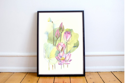 Watercolor Waterlily Illustration