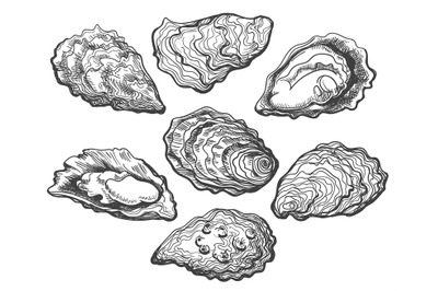 Oyster shell set