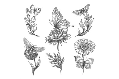 Butterfly and flowers doodle sketch icons