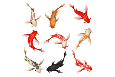 Koi fish set