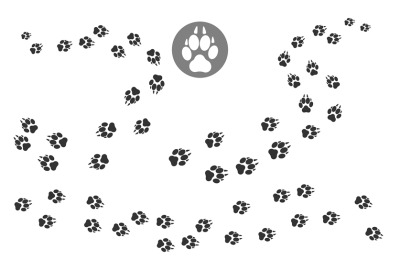 Paw prints track pattern