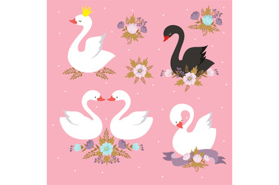 Beautiful white princess swan with crown. Cartoon goose&2C; duck bird vec