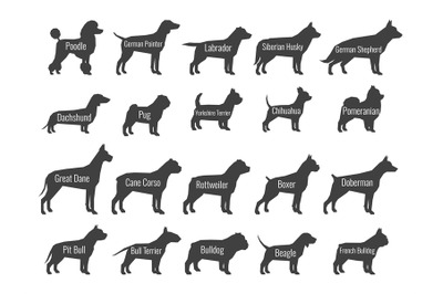 Black dog breeds vector silhouettes isolated on white background