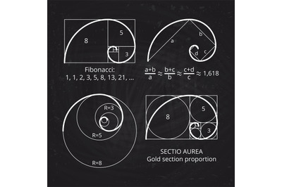 Scheme of golden ratio section, fibonacci spiral on blackboard vector