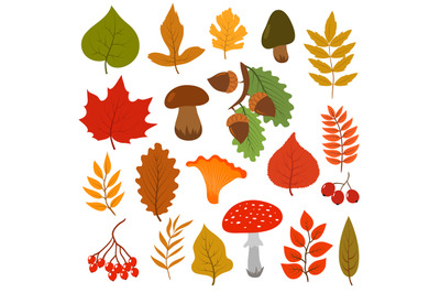 Yellow autumn leaves, mushrooms and berries. Fall forest elements vect