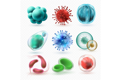 Various microscopic 3d bacteria and viruses. Microbiology vector bacte