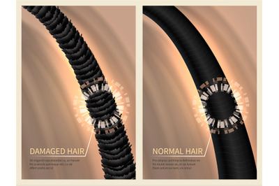 Closeup damaged harsh and normal healthy hair. Vector illustration for