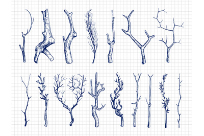 Hand drawn wood branches collection