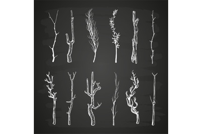 Sketch wood branches set on blackboard