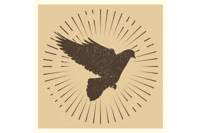 Dove vintage vector pigeon