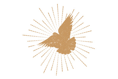 Dove logo design