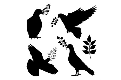 Dove of peace vector silhouetes. Pigeon with branch isolated