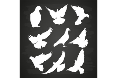 White dove silhouette set on blackboard