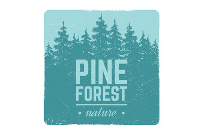 Sketch vintage nature pine and fir tree forest vector retro emblem wit