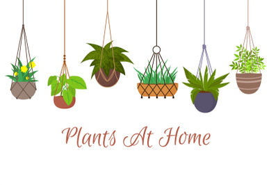 Indoor green plants in pots hanging on decorative macrame hangers vect