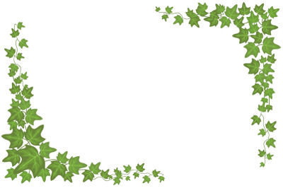 Decorative green ivy wall climbing plant vector frame