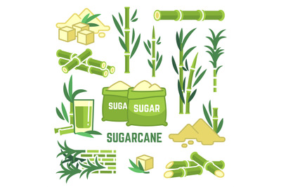 Sugar plant agricultural crops, cane leaf, sugarcane juice vector icon