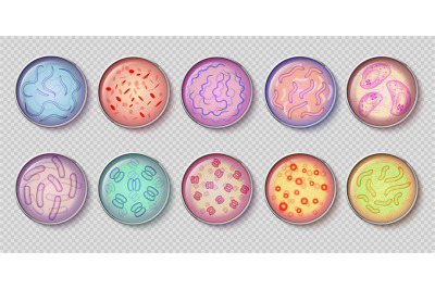 Bacteriology gram negative bacteria culture and penicillin moss in pet