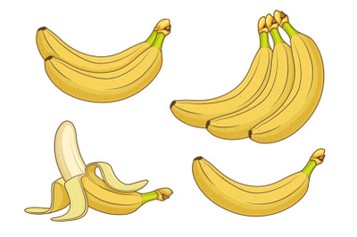 Cartoon banana fruits. Bunches of fresh bananas vector illustration