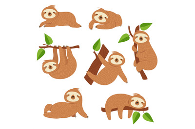 Cute sloths. Cartoon sloth hanging on tree branch. Baby jungle animal