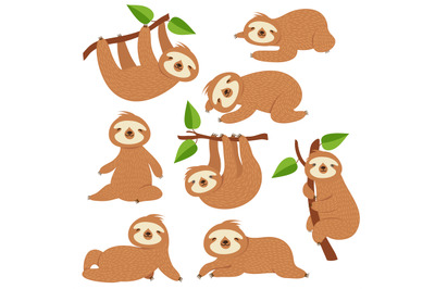 Cartoon sloths. Cute sloth hanging on branch in amazon rainforest. Laz