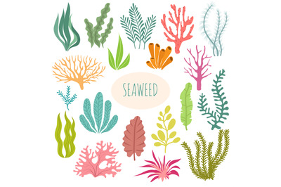 Seaweeds. Aquarium plants&2C; underwater planting. Vector seaweed silhoue