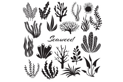 Aquarium seaweeds. Underwater plants, ocean planting. Vector seaweed b