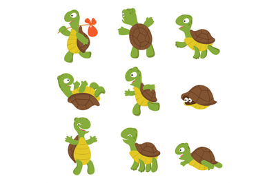 Cartoon turtle. Cute tortoise wild animal vector characters isolated