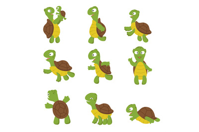 Cute turtle. Green tortoise child in various poses. Vector characters