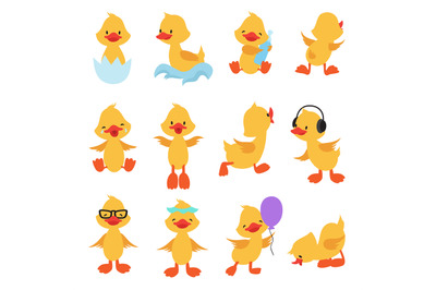 Cute chicks. Cartoon yellow ducks. Baby duck vector set