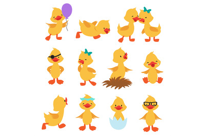 Cartoon cute ducks. Little baby yellow chick vector isolated character