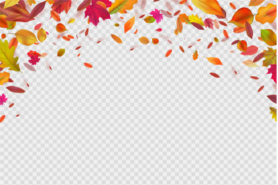 Autumn falling leaves. Autumnal forest foliage fall. Vector illustrati