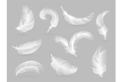 Realistic feathers. White bird falling feather isolated on white backg