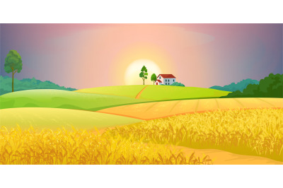 Wheat fields. Village farm landscape with green hills and sunset. Vect