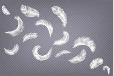 Realistic feathers. Fluffy white goose and swan different falling fluf