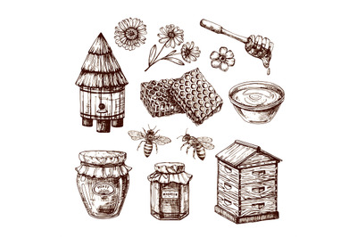 Honey sketch. Bee and honeyed flower, honeycomb and hive. Hand drawn v