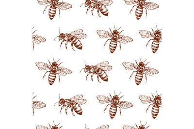 Honey bee seamless pattern. Vintage doodle sketch wrapping vector back