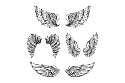 Hand drawn wing. Sketch angel wings with feathers. Vector tattoo desig