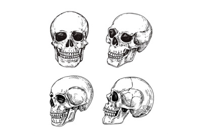Skull On All Category Thehungryjpeg Com