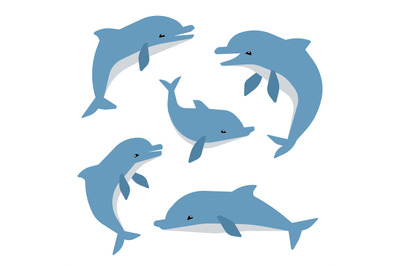 Cute dolphins in different poses vector illustation. Dolphins isolated