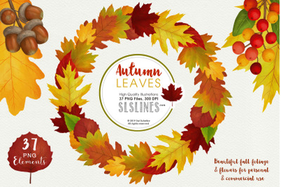 Autumn Leaves Fall Foliage Watercolor Clipart